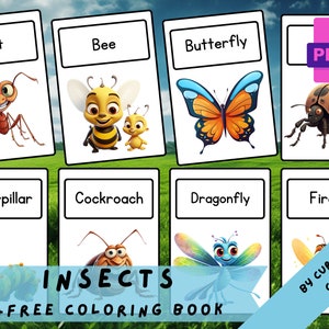 INSECTS • 16 Printable Flashcards, Teaching Learning Resources,Teaching Activities, Insects Home Education,Montessori Flash Cards