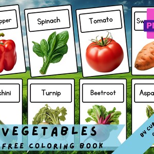 VEGETABLES • 24 Printable Flashcards, Teaching Learning Resources,Teaching Activities, vegetables Home Education,Montessori Flash Cards