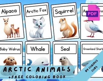 ARCTIC ANIMALS • 20 Printable Flash Cards • Flash Cards Nomenclature FlashCards PDF Printable Cards preschool Toys Flashcard