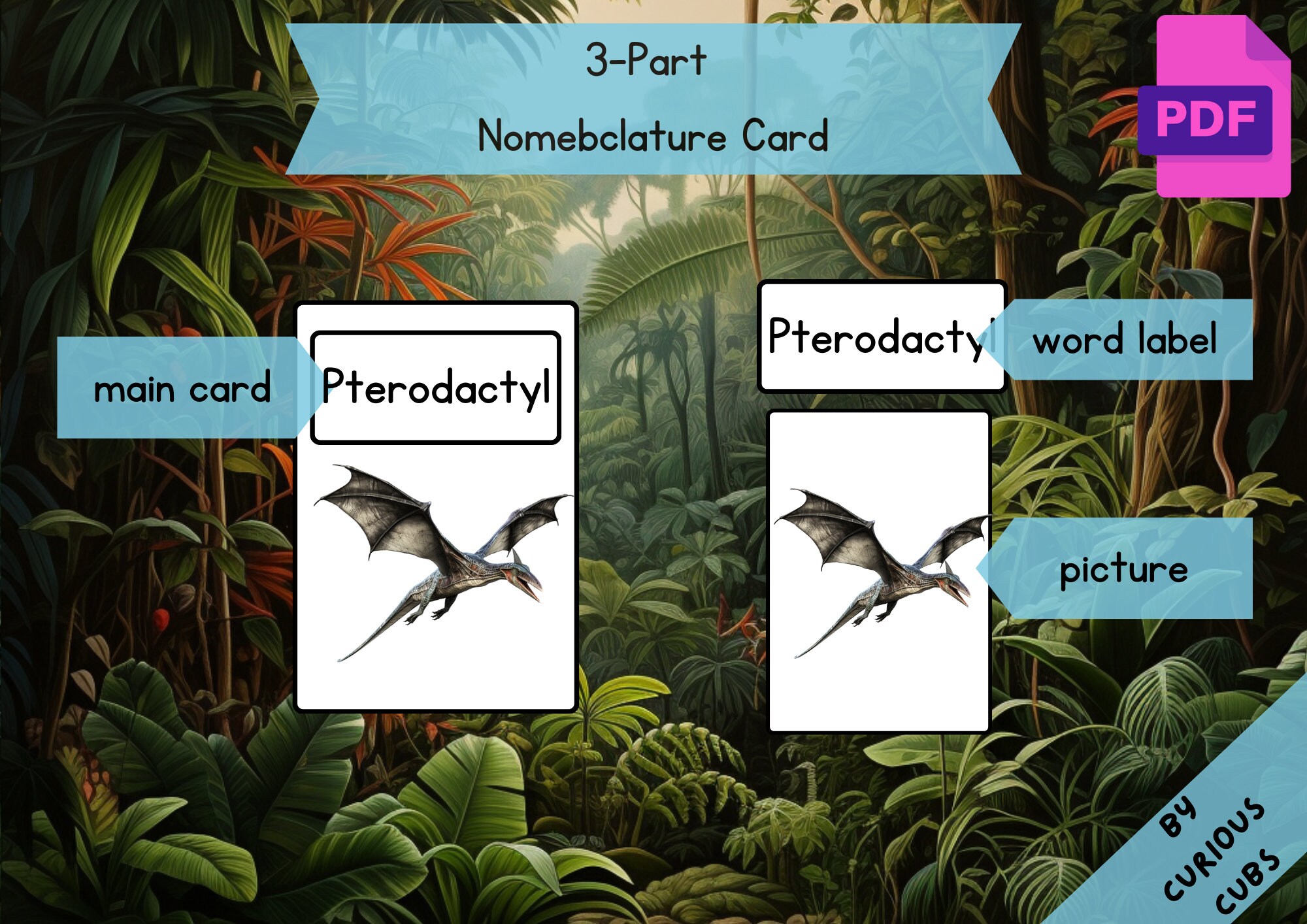 DINOSAURS • 12 Digital Montessori Cards • Flash Cards Nomenclature ...