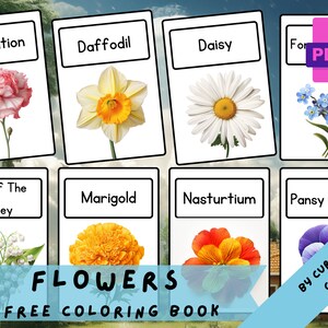FLOWERS • 16 Printable Flashcards, Teaching Learning Resources,Teaching Activities, Flowers Home Education,Montessori Flash Cards