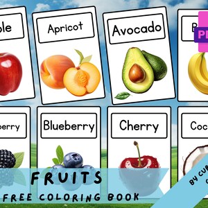 FRUITS • 24 Printable Flashcards, Teaching Learning Resources,Teaching Activities, Fruits Home Education,Montessori Flash Cards