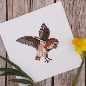 Recycled Barn Owl Card: Blank Wildlife Greetings, Bird Thank You Notelet