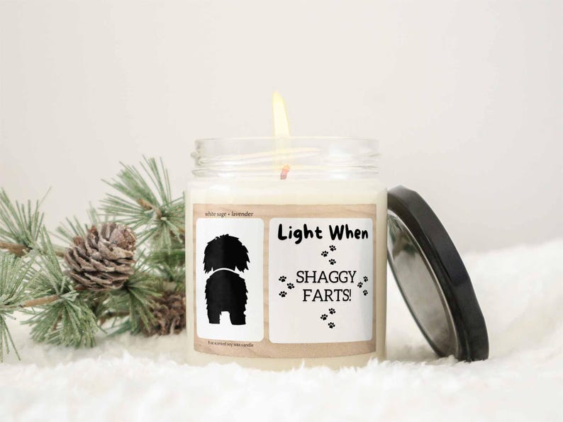 Personalized Scented Candle, Light When Dog Farts Candle, Gift for Dog