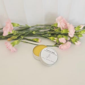 Dog Paw Balm
