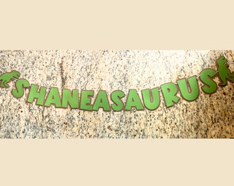 May include: Green felt banner with the name "Shaneasaurus" in large letters, with dinosaur cutouts on either end.