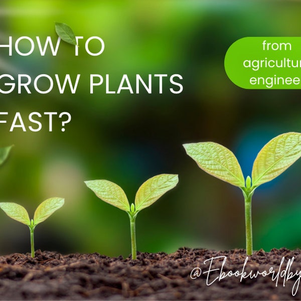 Fast Growing Plant Etsy