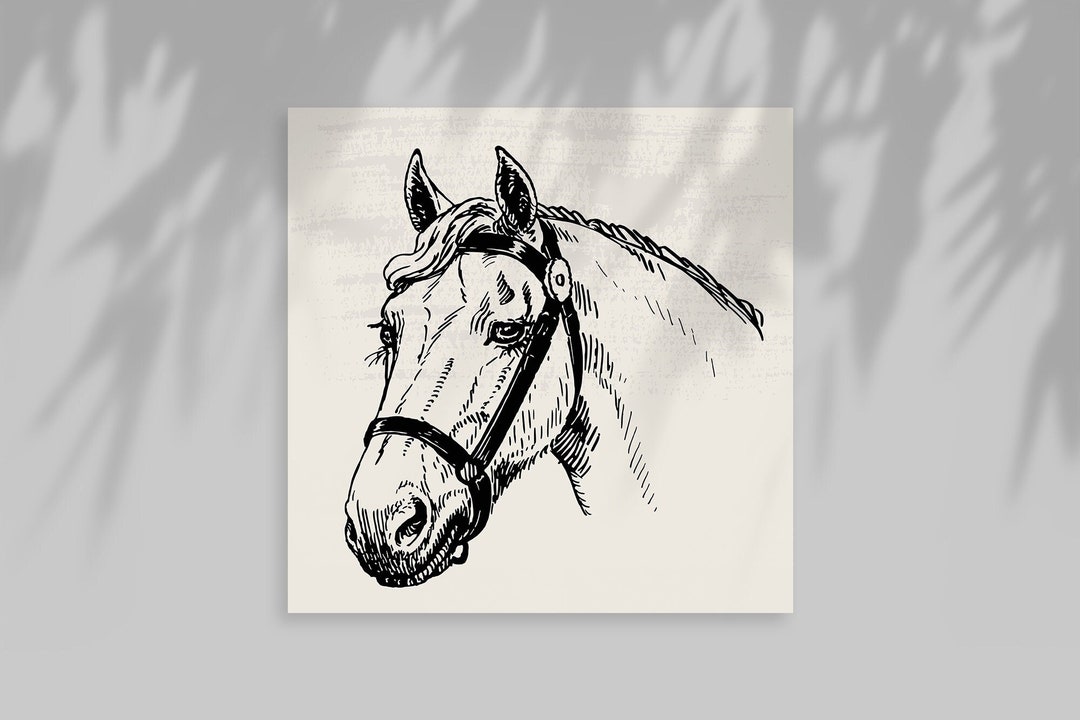 Horse Print, Horses Portraits, Printable Wall Art, Horse Poster, Digital Download, Horse Head