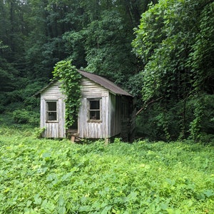 Abandoned House