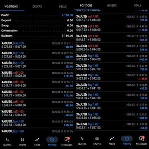 Può includere: Interfaccia di un'app mobile che mostra dati di trading finanziario. Lo schermo mostra posizioni, ordini e affari, con dettagli su profitti, depositi e saldo. Vengono visualizzati ordini di acquisto e vendita di XAUUSD.