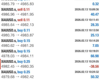 Trading Breakout Pro EA GOLD / Robot Forex automatizzato per conti realistici MT5