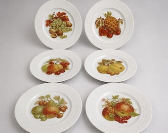 Hutschenreuther Duitsland Saladebordenset met fruitmotief, 6 stuks, porselein, 7 7/8 inch