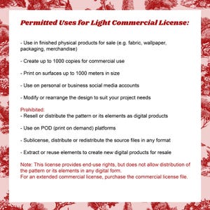 Pu&ograve; includere: Un documento bianco con testo rosso intitolato Permitted Uses for Light Commercial License. Elenca i diritti di utilizzo per prodotti fisici, social media e modifiche, vietando al contempo la rivendita digitale e la distribuzione.