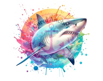 Hai PNG - Aquarell Hai - Weißer Hai PNG