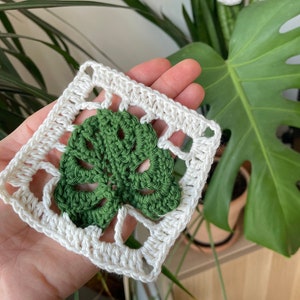 May include: A white crocheted square with a green crocheted monstera leaf design.