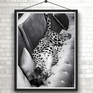 Panther on a Sofa Print Leopard Jaguar Black and White Old Retro Vintage Fashion Photography Canvas Framed Printed Trendy Wall Art Decor