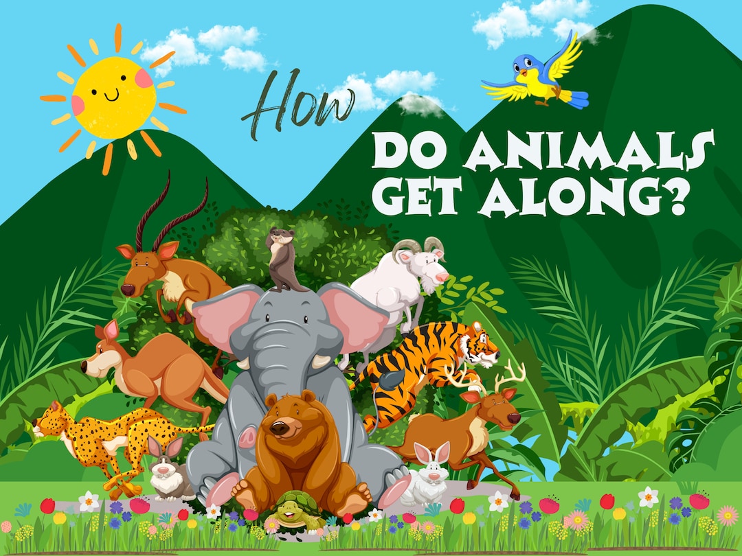 How Do Animals Get Along Animal Friendship Storybook Etsy