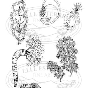 May include: Black and white line art illustration of an abstract garden patch. The illustration features a variety of organic shapes and textures, including a pea pod, a flower, a fern, and a tree.