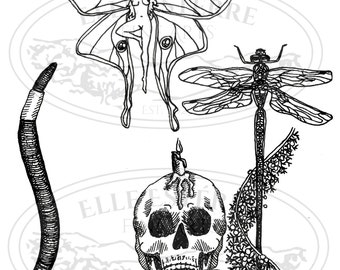 Printable Tattoo Designs - Worm Dragonfly Juniper Scull Candles by Elle Estérre Fine Arts, printable fae macabre nature tattoo concept art