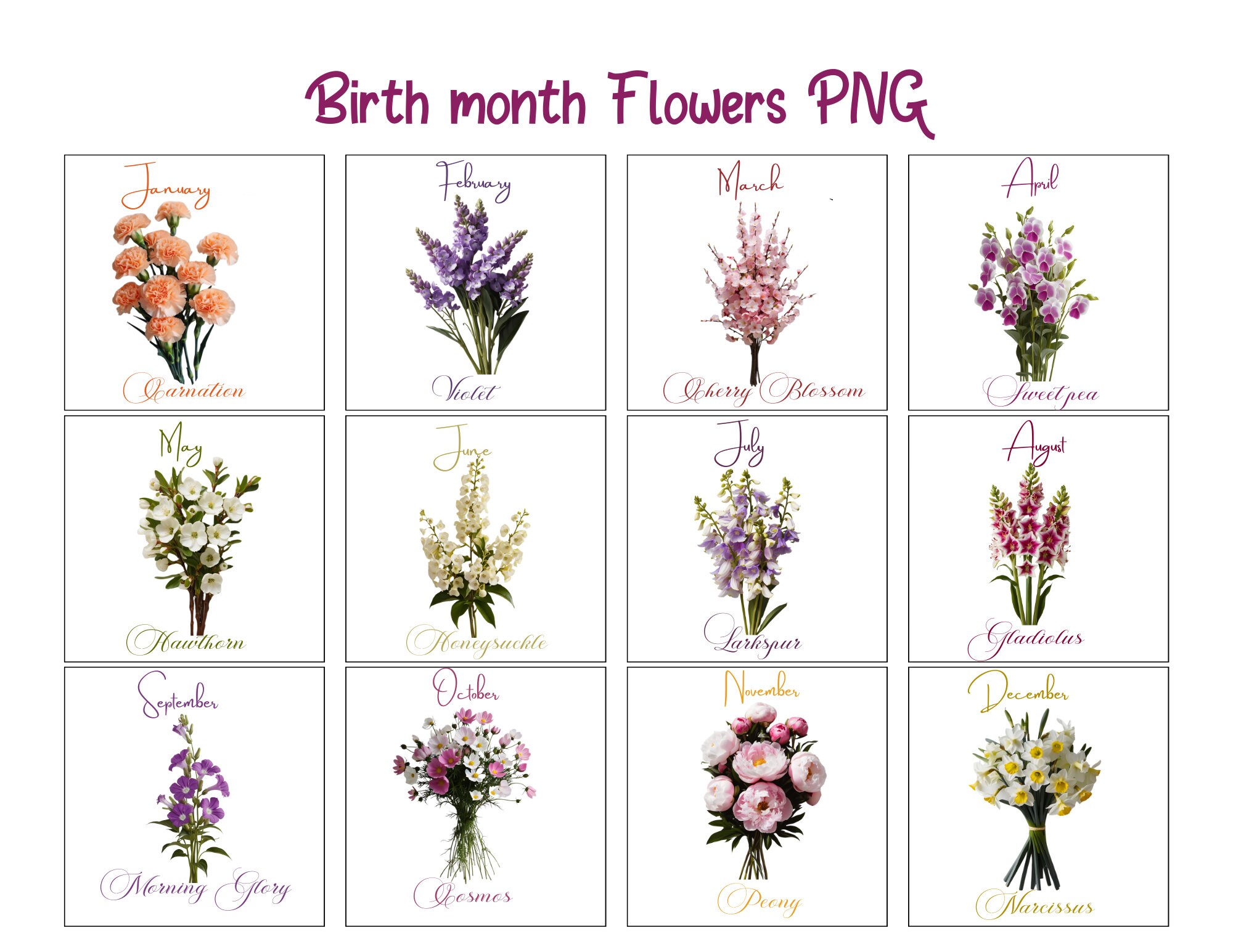 Birth Month Flower Clip Art Set PNG, Personalized Floral Print, Digital ...