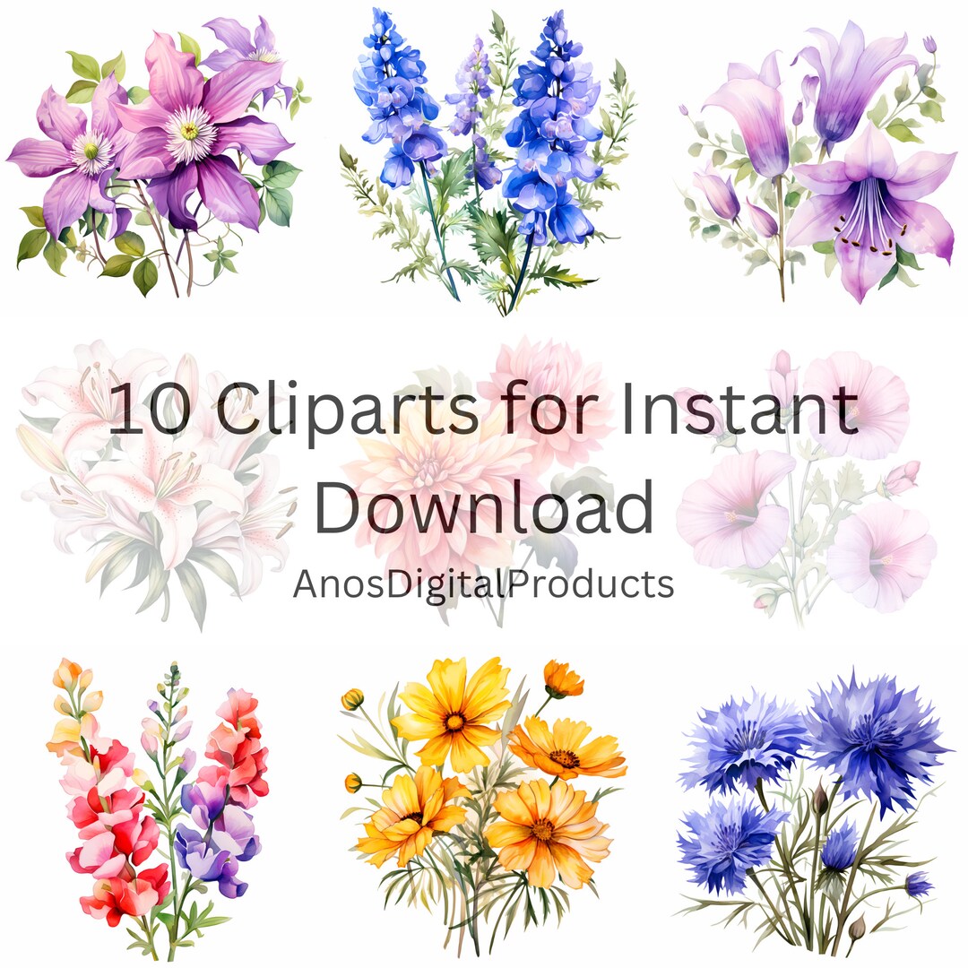 10 July Birth Flowers Clipart PNG Watercolor Flowers Clipart Etsy