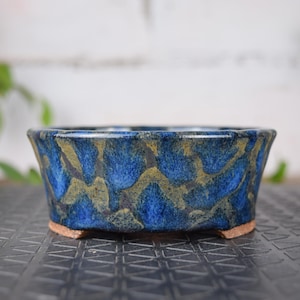 Peut inclure: Un pot à bonsaï en céramique bleue avec un motif texturé dans des tons or et bleu. Le pot a une forme rectangulaire avec un bord légèrement évasé et repose sur de petits pieds carrés. Le pot est conçu pour les bonsaïs.