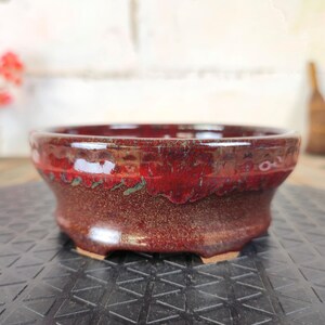 Peut inclure: Un petit pot à bonsaï rond en céramique avec un glaçage rouge brillant. Le pot a un profil bas avec un bord légèrement évasé et une surface texturée et mouchetée. La base a de petits pieds.