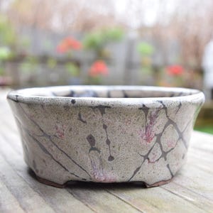 May include: A ceramic bonsai pot with a speckled gray and pink finish, accented by dark gray crackle-like lines. The pot has a low, rectangular shape with a slightly flared rim and sits on a wooden surface.
