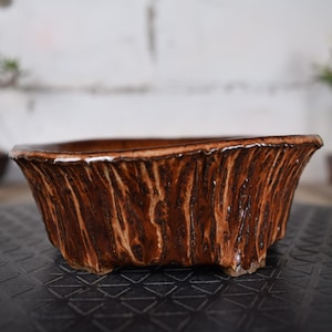 Peut inclure: Un pot à bonsaï en céramique marron avec un extérieur texturé en forme d'écorce. Le pot rectangulaire a une large ouverture et repose sur de petits pieds. Le pot est conçu pour planter de petits arbres et plantes.