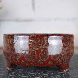 Peut inclure: Un pot à bonsaï en céramique, bas et rond, avec un glaçage brillant tacheté de rouge et de marron. Le pot a trois petits pieds et une large ouverture, adapté à la plantation de petits arbres ou arbustes. Le design du pot est à la fois fonctionnel et décoratif.