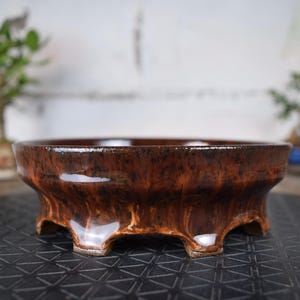 Peut inclure: Un pot à bonsaï en céramique marron avec une finition brillante. Le pot a un design large et peu profond avec un bord arrondi et trois pieds. La couleur du pot varie du marron clair au marron foncé.