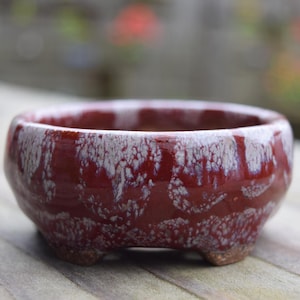 May include: A small, round, ceramic bonsai pot with a glossy, deep red glaze. The pot has a textured, speckled white pattern and sits on three small feet. The rim is white. The pot is designed for small plants.