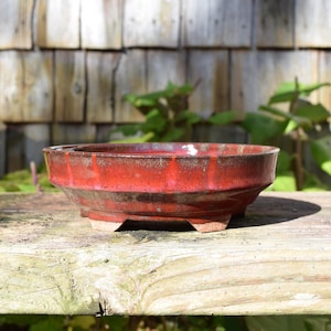 May include: A shallow, round ceramic bonsai pot with a glossy, vibrant red glaze that transitions into darker, brownish tones near the rim. The pot features a wide, flat base with small, sturdy feet and a smooth, circular opening.