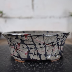 Peut inclure: Pot à bonsaï en céramique avec un motif de glaçure craquelée grise et noire et des accents rouges. Le pot rectangulaire a une forme évasée et convient aux petites plantes. Le pot est posé sur une surface noire.