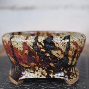 Peut inclure: Un pot à bonsaï en céramique avec une base et des côtés beiges mouchetés. Le pot présente un design unique avec des éclaboussures de peinture rouge et noire. Le pot a un profil bas avec trois petits pieds.