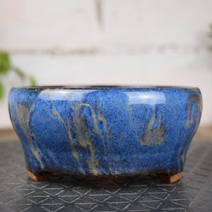 Peut inclure: Un pot à bonsaï en céramique bleue avec une finition brillante. Le pot a une forme large et peu profonde avec un bord légèrement incurvé et de petits pieds. L'émail bleu présente des stries de beige et de marron, créant un effet marbré.