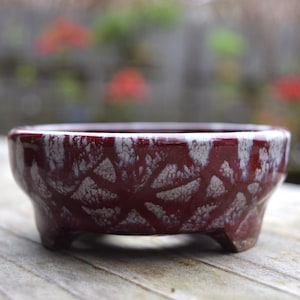 May include: A burgundy ceramic bonsai pot with a glossy finish. The pot has a low, round shape with three small feet. The surface is decorated with a white, geometric pattern.