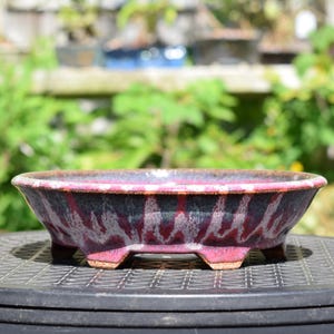 Könnte beinhalten: Eine flache, ovale Bonsaischale aus Keramik mit einer dunklen, gesprenkelten Glasur, die von tiefroten und weißen Streifen durchzogen ist. Die Schale hat einen breiten, ausgestellten Rand und steht auf vier kleinen, stabilen Füßen.