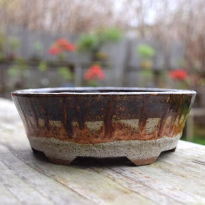 May include: A brown and tan ceramic bonsai pot with a wide, shallow design. The pot has a textured surface with a dark brown rim and a lighter brown and tan color scheme. It sits on three small feet.