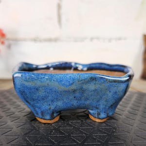 以下が含まれることがあります： 光沢のある仕上がりの正方形の青いセラミックプランター。 プランターは波状の縁があり、4つの小さな丸い足の上にあります。 内側は茶色で、小さな植物や多肉植物に適しています。