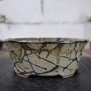 Peut inclure: Un pot de bonsaï en céramique avec un motif de glaçure craquelée unique. Le pot présente une base beige avec des veines marron foncé et noires, un bord foncé et une forme légèrement évasée. Pour bonsaï.