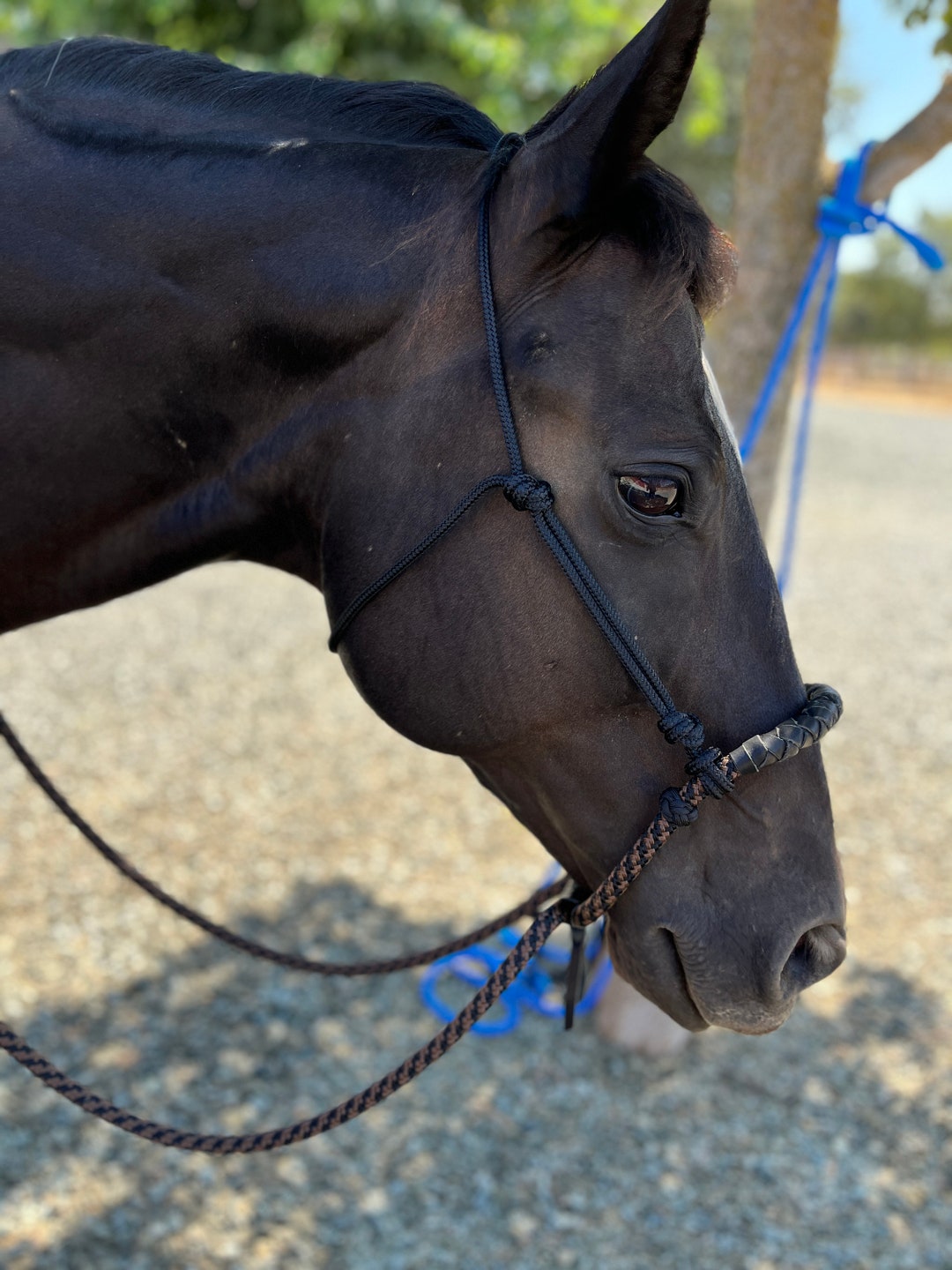 Loping Rope, Rope Bosal, Hackamore, Mecate, Reins - Etsy
