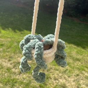 Hanging Plant Pattern