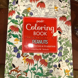 PEANUTS Charlie Brown and Lucy coloring book - peanuts stationary - snoopy  - back to school stationary - coloring book -snoopy journal -