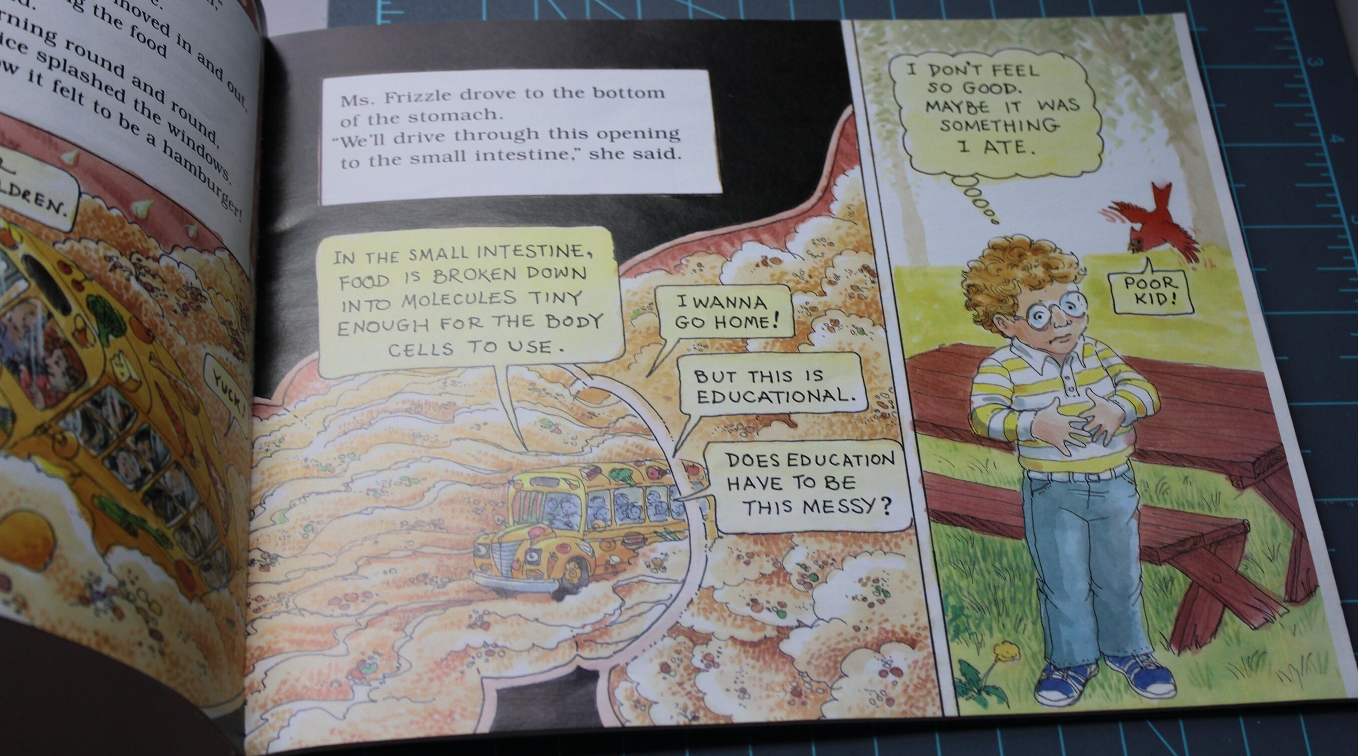 The Magic School Bus Inside the Human Body Softcover 1989 by Joanna ...