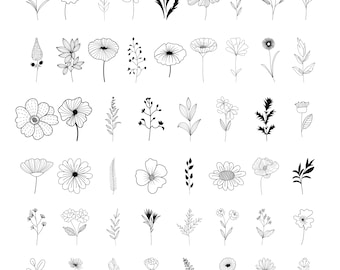 Wilde bloemen SVG, wilde bloem SVG bundel, botanische SVG, boeket SVG, bloemen SVG, bloem clipart, bloem schets SVG, wilde bloemen kunst SVG