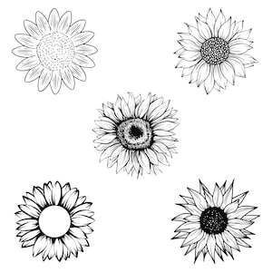 Sunflower Svg, Sunflower Svg Bundle, Floral Svg Bundle, Sunflower Clipart, Bundle, T-shirt, Vector, Floral Png