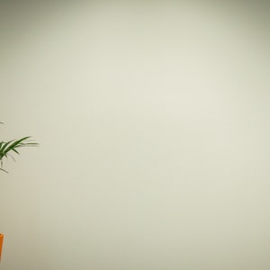 May include: A potted palm plant with green leaves in an orange pot against a white wall.