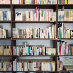 Virtueller Hintergrund | Bücherregal | Zoomen Sie Virtuelle Hintergründe | Microsoft Teams | Facebook | Google+Meet | auf