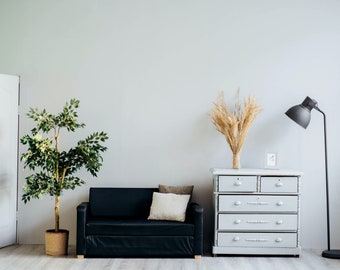 Virtual Background | Living Room | Zoom Virtual Backgrounds | Microsoft Teams | Facebook | Google Meet | Skype